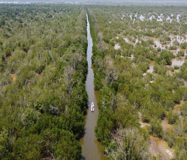 Caño Covado 1 en toda su longitud con lacha navegando